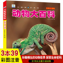 Animal Encyclopedia Color Picture Zhuyin Version Small Eyes Look at the World 3-6-7-9-12-year-old Primary School Childrens Science Knowledge Encyclopedia Books Animal Picture Book Encyclopedia The Unsolved Mystery of Unsolved Children