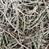 Bitter grass seed grass seed noodle grass pole grass grass duck tongue grass grass duck tongue grass water Leek seed shrimp crab fish farming environmental protection Garden