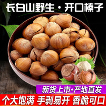 New Changbaishan wild hazelnuts hand-peeled open 500g bulk Northeast specialty hazelnuts