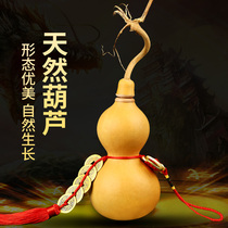 With faucet large natural gourd ornaments pendant opening wine gourd to send base Fulu Jixiang home crafts