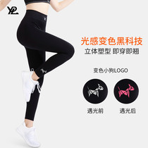 YPL ai pants upgrade puppy pants fitness professional yoga pants women wear elastic tight sports pants