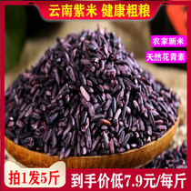 Mojiang purple rice official flagship store Yunnan specialty purple rice glutinous rice rice ball special purple rice grains blood glutinous rice