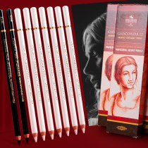 Cool Joy White charcoal pen high light pen white black sketch pencil brush set sketch art supplies professional painting tools art students students beginners hand-painted soft and hard carbon pen