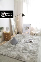 Hall home carpet direct sales Easy-care leave-in living room Nordic warm color Modern simple high-end waterproof erasable