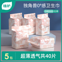 Plant care secret sleep daily girl sanitary napkin Skin-friendly cotton soft ultra-thin breathable 240mm aunt towel 5 packs affordable pack