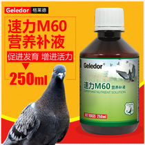 Glade pigeon medicine Daquan promotes development and increases vitality and physical fitness Breeding pigeons Young pigeons Health and nutrition conditioning kit Pigeon medicine