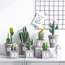 Nordic ins home decorations fleshy cactus simulation plant potted ornaments fake flowers green plant indoor furnishings