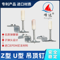 Peak Da Ceiling God Instrumental Integrated Spike Silencing Gun Nail 32mm47mm Furnishing Ceiling Special Steel Nail Fixing Cannon Nail