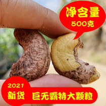 New crispy cashew nuts Original flavor tiger skin cashew meat Nut snacks Dried fruits Bulk net content 500 grams barrel