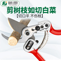 Vine Original Prunes Prunes Cut Fruits Prunes Home Labor-saving Shears Fruit Branches Cut Fruit Branches Cut Coarse Branches Scissors Gardening Clippings