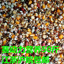 Race Dynamics Dove Grain 3A Nourishment 3A Grain With Corn Grain Racing Pigeon Pigeon Meat Dove Feed Hot Pin 50 Catfish Food