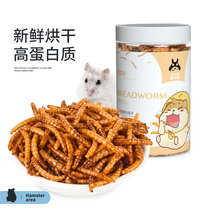 Favorite day hedgehog breadworm dry grain supplies golden silk bear staple food snack feed set meal hamster yellow mealworm