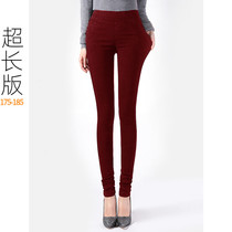 Spring and Autumn Comfortable Not Tight Longer Tight Women High Waist Casual Small Feet Jeans Ginger Wine Red Trousers