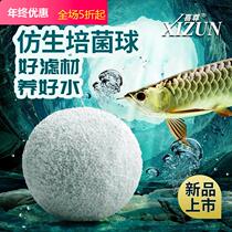 Nitric Bacterial Ceramic Ring Ring of Bacteriological Bacterial Bacterial Bacterial Room Filter Bacterium Bacterial Bacterial Round