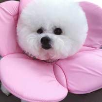 Beautiful cute soft cloth does not touch Elizabeth ring anti-licking ointment anti-bite hair flower pet dog