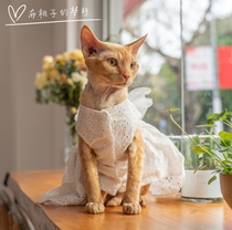  GINGERAIN GERMAN CAT CLOTHES HAIRLESS CAT PURE COTTON LACE EMBROIDERY WHITE SKIRT WEDDING PRINCESS