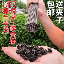 Butterfly Orchid Steps ToolOrchid Specialized Plastic Flower Frame Planting Rods Assisted Pot Flower Spill