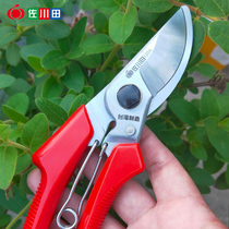 Sagawa Tin 120A Fruit tree pruning shears branch shears gardening flower cutting garden labor-saving pruning rough shears