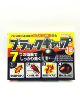 Japanese Anspeed Little Black Hat cockroach house