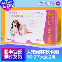 Great Favorites In Vitro Insect Repellent Cat Dog Generic In Vivo Insect Repellent Blue Cat Orange Cat British Short Golden Hair Teddy Beasts Space