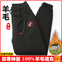 CUHK Children Wool Cotton Pants Winter Outwear Windproof Plus Suede Warm Pants Men And Women Children Thickening Sports Casual Wear Pants