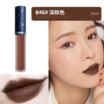 Unicorn Polaris Brown dark brown chocolate color lip glaze European and American style lipstick dirty orange eating earth matte