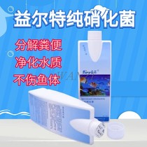 Nitrified bacteria Purified water for fish tank Water Liqing beneficial bacteria guppies small fish do not hurt fish live bacteria