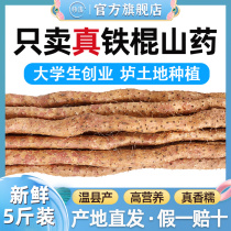  Authentic Wenxian Baotu iron stick Yam flagship store official fresh 5 kg Henan Jiaozuo quasi-Huai Shan medicine Chinese herbal medicine