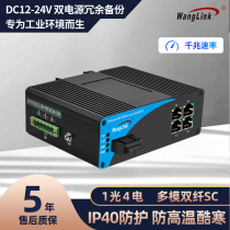 Wanglink Industrial Grade Gigabit 1 Optical Fiber Transceiver Single Mode Multimode Single Mode Single Fiber Interface Industrial Class Guide Rail Switch