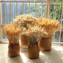Natural Straw flower basket flower vase wheat ear barley Reed rice decoration ornaments dried flower set
