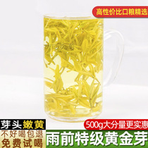 Authentic Alpine Anji Gold Bud Tea 2021 New Tea Super Spring Tea White Tea Green Tea 500g Tins Bulk