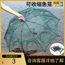 Shrimp Cage Fish Mesh Umbrella Nets Fish Cage Fishing Nets Crab Cage Yellow Eel Cage Fishing Nets Fishing Nets Mud Loach Cage Yellow Eel Cage Chia Fish
