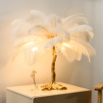 Table lamp Bed Head Light Lavish Rear Modern Living Room Bedroom Creative Decorative Lights Art Book House Resin Feather Floor Lamp
