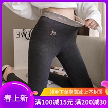 Japanese pure cotton beating underpants female plus suede thickened high waist close-up abdominal tightening elastic conspicoy warm and small foot pants external to wear