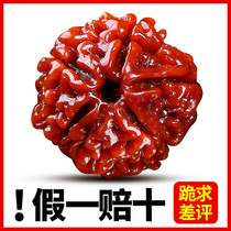 Nepal machine brush Donkey Kong Bodhi hand string mens plate finished five-petal six-petal package finished Bodhi Wenplay Buddha beads