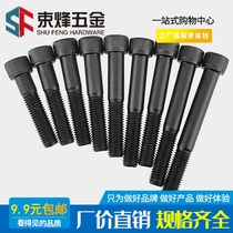 M18M20 12 Grade 9 high strength half tooth hexagon socket black screw lengder Bolt * 80-300