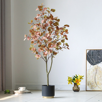 Doxin Nordic ins simulation plant decoration eucalyptus false green plant potted home furnishings landing bonsai