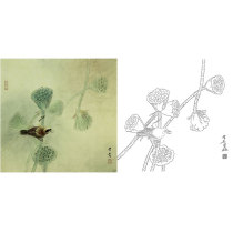 Gongbi painting white sketch background draft Physical hook line white paper print draft Gong Xueqing Qinglu Showerhead XQ25