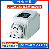 Baoding Lange BT100-2J Laboratory precision peristaltic constant current pump YZ1515x DG pump head hose Silicone tube