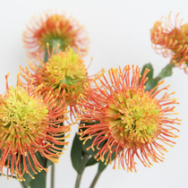 Lancol simple modern simulation flower orange pin cushion flower living room TV cabinet placed flower model room photography fake flower