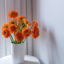 Gerbera flowers flowers flowers family flower arrangements flowers home flowers Shanghai flowers City Express Shunfeng