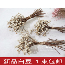 Eternal white fruit Natural white bean mushroom grass Mini bouquet flower arrangement New house bedroom living room decoration dried flowers