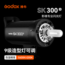 God Bull Flash SK300II Second-generation Photography Light 300W shed light portrait Photography Tonic Light light soft light equipment
