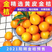 Yangshuo Ma skin kumquat non-melting crispy skin Guangxi Guilin oil skin small kumquat fresh orange 5kg