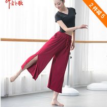 Dance Suit Modale Side Open Fork 90% Wide Leg Pants Modern Dance Loose Straight Drum Seven Pants Yoga Practice Woman