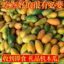 Guangxi specialty fresh red heart milk sweet papaya rock sugar heart papaya red heart papaya fresh pregnant woman tree ripe papaya