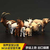 Childrens solid simulation Goat sheep animal toy model aryanx Beishan bighorn sheep four horns Lamb