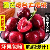Spot Shandong Yantai cherry beauty early fresh pregnant fruit domestic cherries 3 pounds SF whole box 5