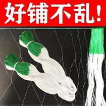 Rackless bean horn seed four seasons planting climbing rattan special net Support rod Japanese gourd hanging loofah Agricultural balcony vegetables