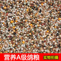 Ningda pigeon grain A- grade nutrition grain belt corn pigeon grain pigeon feed young pigeon nutrition grain 5kg